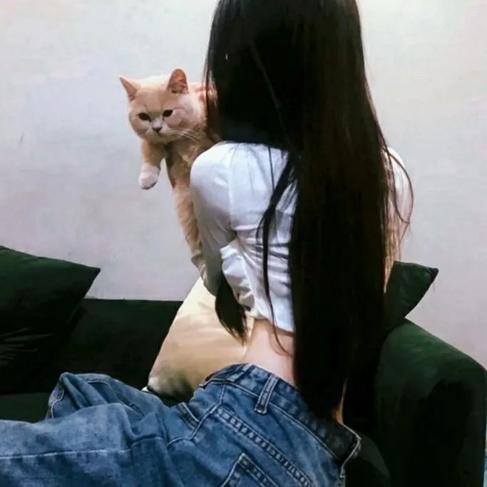 永远不要对熊猫说不